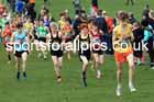 Boys Under-15s, 2024 CAU Inter Counties Cross Country Champs., Wollaton Park, Nottingham. Photo: David T. Hewitson/Sports for All Pics